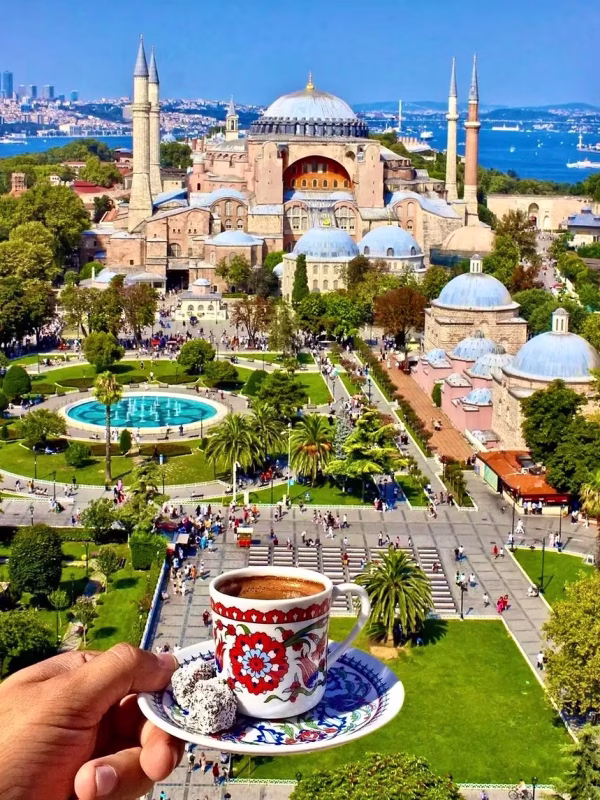 7335d9_acc30ee031fb47a6b84010834ad7abe0~mv2